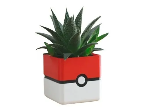 comprar Matero Porron Decorativo Moderno Para Suculentas Y Cactus