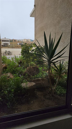 Imagen 20 de 30 de Tb Departamento En Venta En Concón