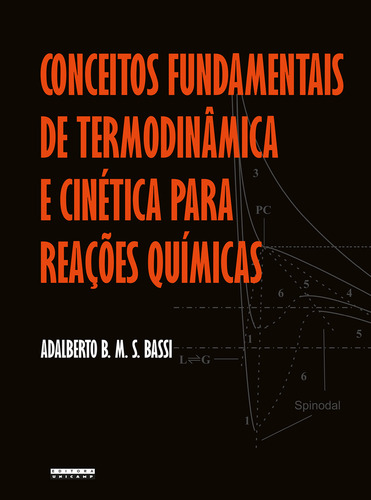 Conceitos Fundamentais De Termodinâmica E Cinética Para Reações Químicas, De Bassi, Adalberto B. M. S.. Editora Unicamp, Capa Mole Em Português, 2021
