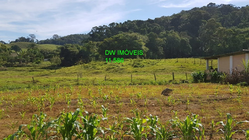 Imagem 12 de 30 de Juquiá/sitio Com Pupunha/ Pasto E 05 Lagos Para Pesqueiro - 04857 - 34121206