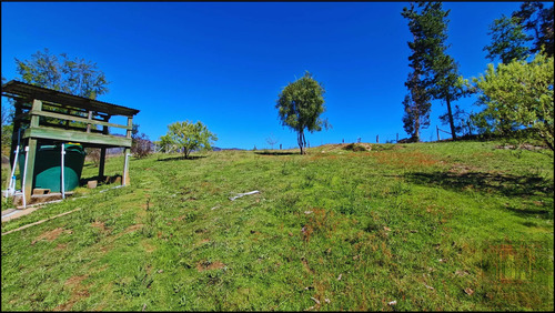Parcela Con 2 Casas Y 8000m2 De Terreno (126968)