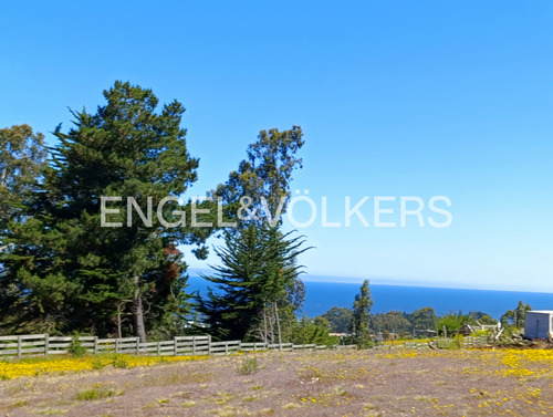 Excelente Terreno En Punta De Lobos