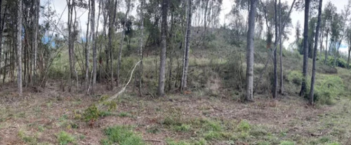 Preciosa Parcela Con 90 Metros De Orilla De Río
