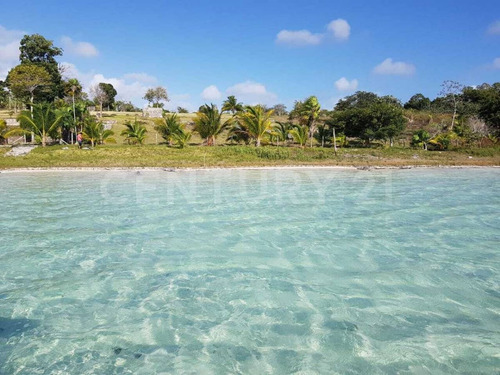 Imagen 6 de 7 de Terreno A La Venta - Isla Blanca, Isla Mujeres, Quintana Roo.