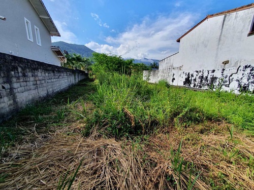 Imagem 13 de 22 de Terreno, Praia Da Lagoinha, Ubatuba - R$ 380 Mil, Cod: 1422 - V1422