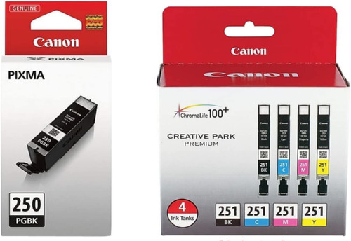 Paquete De 5 Cartuchos De Tinta Canon Pgi-250  6497b001  Cli