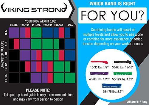 Banda De Resistencia Para Dominadas Viking Strong