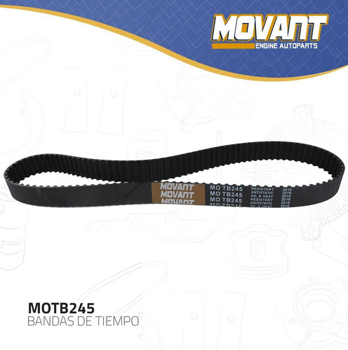 Banda Tiempo Para Chrysler Cirrus 1995 - 2000 (movant)