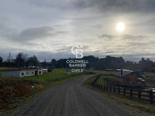 Oportunidad Única: Parcela 5.000 M² En Osorno
