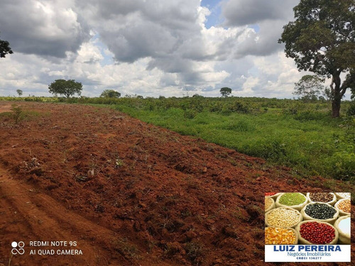 Imagem 6 de 15 de Fazenda Á Venda Em Cristalândia 503.36 Hectares (dupla Aptidão) - 1628