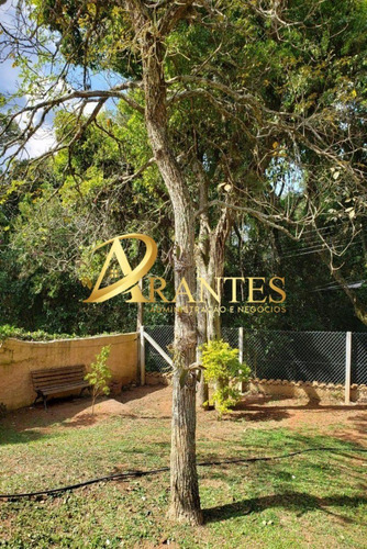 Imagem 13 de 30 de Casa Em Condomínio - Co00086 - 69590421