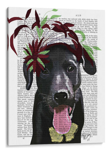 Canvas Lab Cuadro Labrador Negro Con Fascinador Verde 30x40