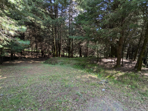 Terreno En Venta En Tres Marías