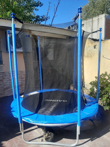 2856380491