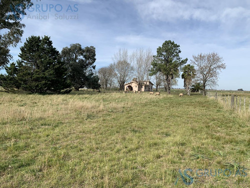Excelente Campo Agricola De 62,73 Has.
