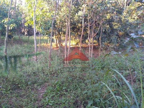 Imagem 7 de 20 de Chácara Com 2 Dormitórios À Venda, 2500 M² Por R$ 700.000,00 - Santa Cecília I - São José Dos Campos/sp - Ch0058
