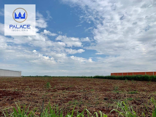 Imagem 3 de 4 de Terreno, 40000 M² - Venda Por R$ 6.000.000,00 Ou Aluguel Por R$ 20.000,00/mês - Campestre - Piracicaba/sp - Te0352