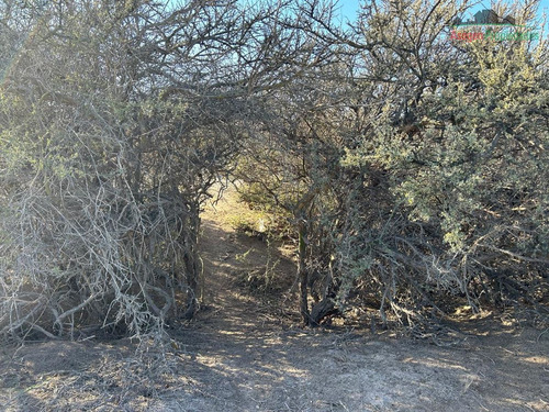 Parcela En Venta En Copiapó