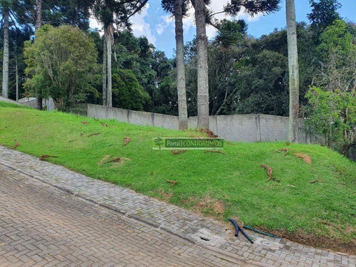 Terreno À Venda, 607 M² Por R$ 420.000,00 - Campo Comprido - Curitiba/pr - Te0198