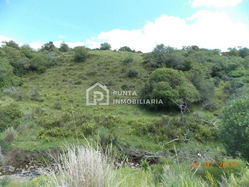 Imagen 18 de 30 de Venta Chacra 96has En Minas, Lavalleja