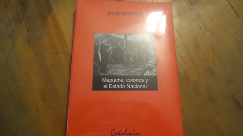 Mapuche,colonos Y Estado Nacional