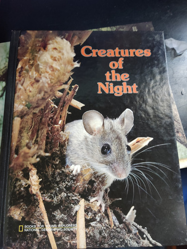 Creatures Of The Night Young Explorers National Geographic