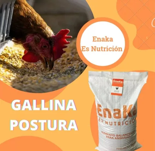 comprar Pollarina Cerdos Gallinas Roedores Y Más