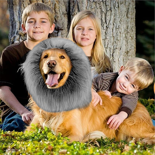 Melena De Animal Divertida Para Perros Melena De Perro