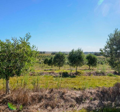 Imagen 21 de 23 de Campo En Venta En Punta Del Este (ref: Atm-5648)