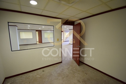 Oficina En Renta En Anzures 22c/3b/1e - Excelente Ubicación - 650m2