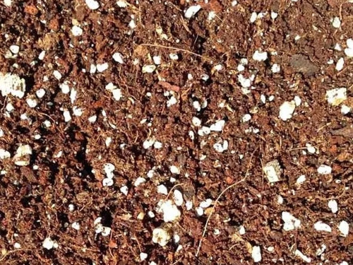 Sustrato Para Plantas Carnívoras