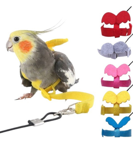 Bn Arnés Y Correa For Pájaros, Periquitos, Cacatúas, Loros