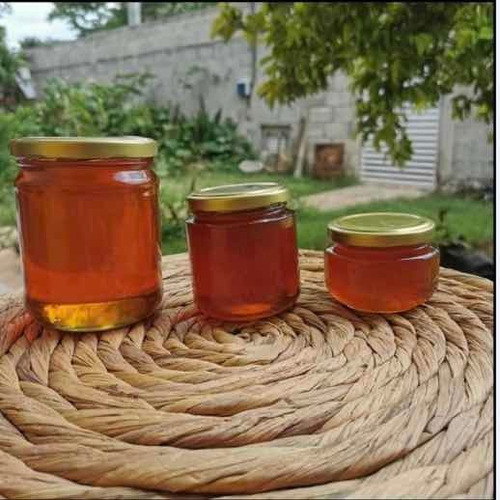 10 Botellas De1kg Demiel 100% Pura, Recién Cosechada Yucatan