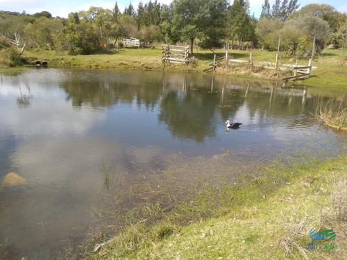 Imagen 14 de 24 de 5 Has Con Casa En Carape A Minutos De P. Edén Y Punta - Zona Rural Zona Rural