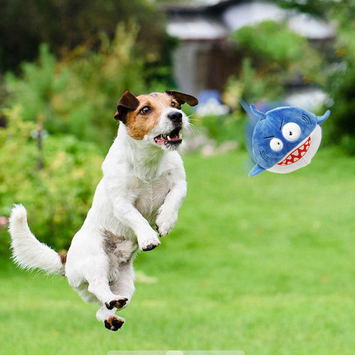Dp Juguete Interactivo For Perros Con Chirrido, Tiburón De