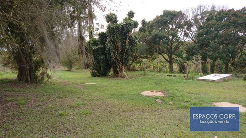 Imagem 19 de 25 de Sítio À Venda, 1,2 Alqueires - Santo Antônio Velho - Boituva - São Paulo - Si0003