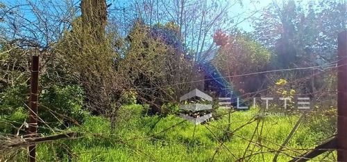 Imagen 5 de 28 de Sitio En Venta En Olmué