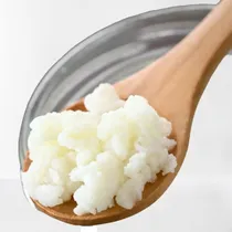 Comprar Kefir De Leche, Búlgaros, Hongos De Yogurt, Gusanito -1 Taza