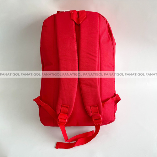 Imagen 2 de 8 de Mochila 17,5 Pulgadas Independiente Con Licencia Oficial