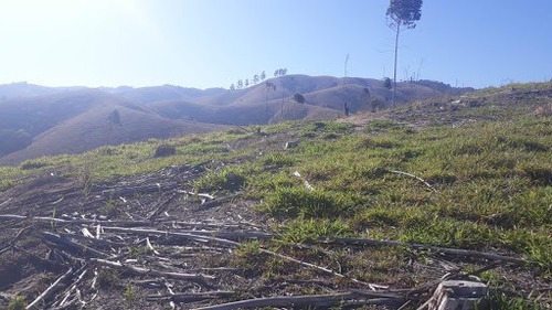 Imagem 6 de 17 de Linda Sitio Em Caçapava Com Ótimo Acesso A Via Dutra - Ar0010