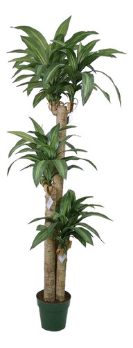 Árbol Artificial De Dracena 166cm