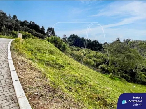 Lote Natura Arrayanes Guarne A 5 Min Del Aeropuerto