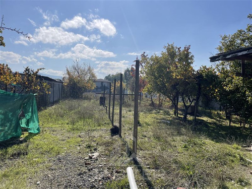 Local Comercial En Venta En Maule