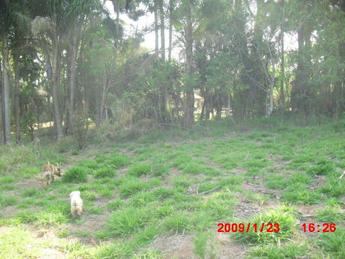 Imagem 6 de 13 de Terreno Próximo A Cidade