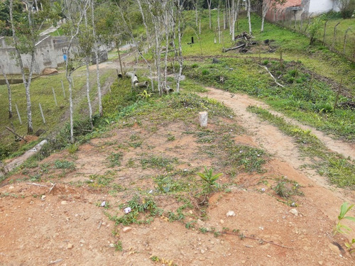 Imagem 12 de 28 de Terreno - Te00030 - 68403756