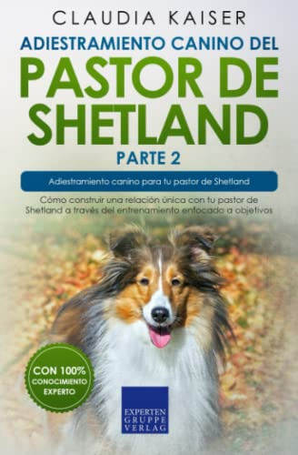 Adiestramiento Canino Del Pastor De Shetland Parte 2: Como C