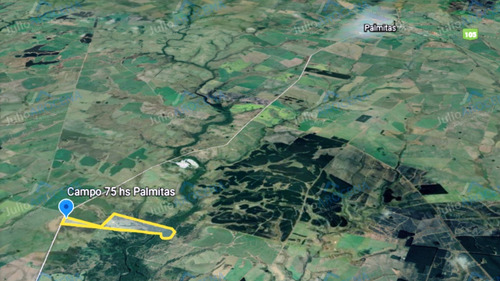 Excelente Campo De 75 Ha En Palmitas - Soriano
