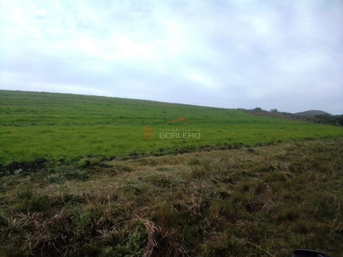 Imagen 19 de 29 de Maldonado Campo Con 150 Has Ganaderas En Aigua, 70 Kms De Punta, Serrano, Pintoresco, Con Instalaciones