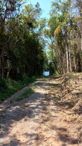 Imagem 7 de 16 de V06- Invista Em Terra