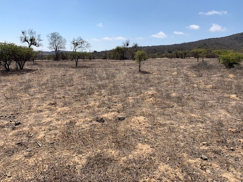 Imagen 13 de 16 de Sitio Condominio Foresta De Zapallar/ruta 5 Norte